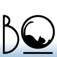 Bodega Kitchen & Cocktails